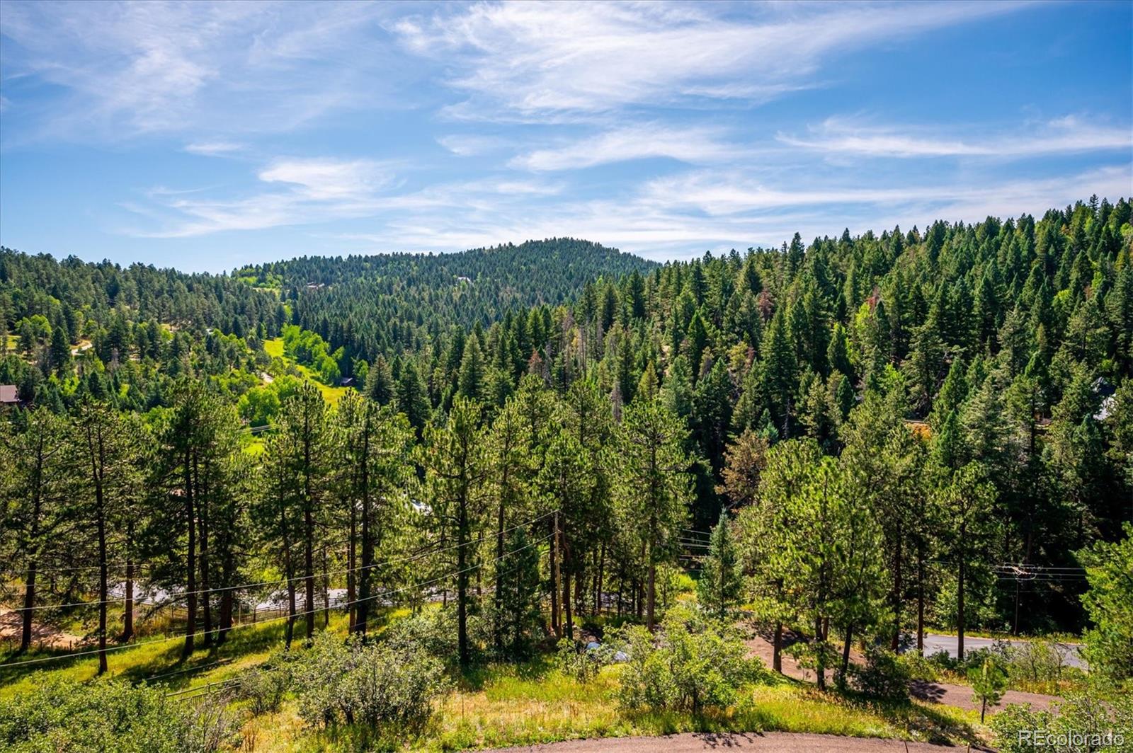 18339 Pleasant Park Road Conifer CO 80433