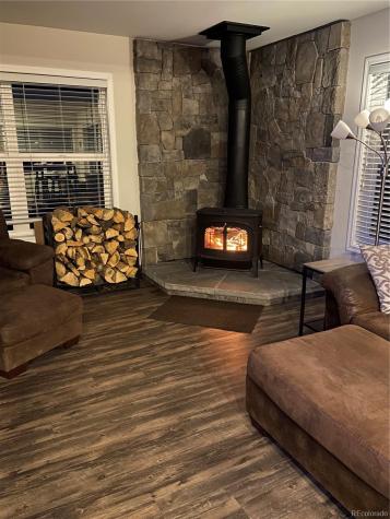 154 Brooklyn Circle Leadville CO 80461