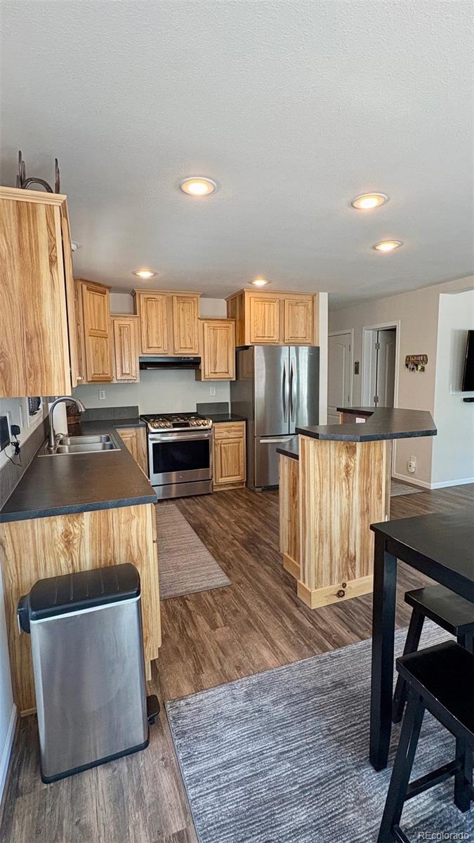 154 Brooklyn Circle Leadville CO 80461
