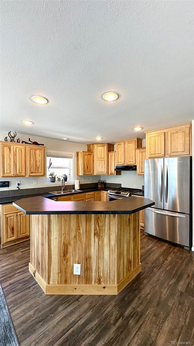154 Brooklyn Circle Leadville CO 80461