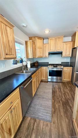 154 Brooklyn Circle Leadville CO 80461