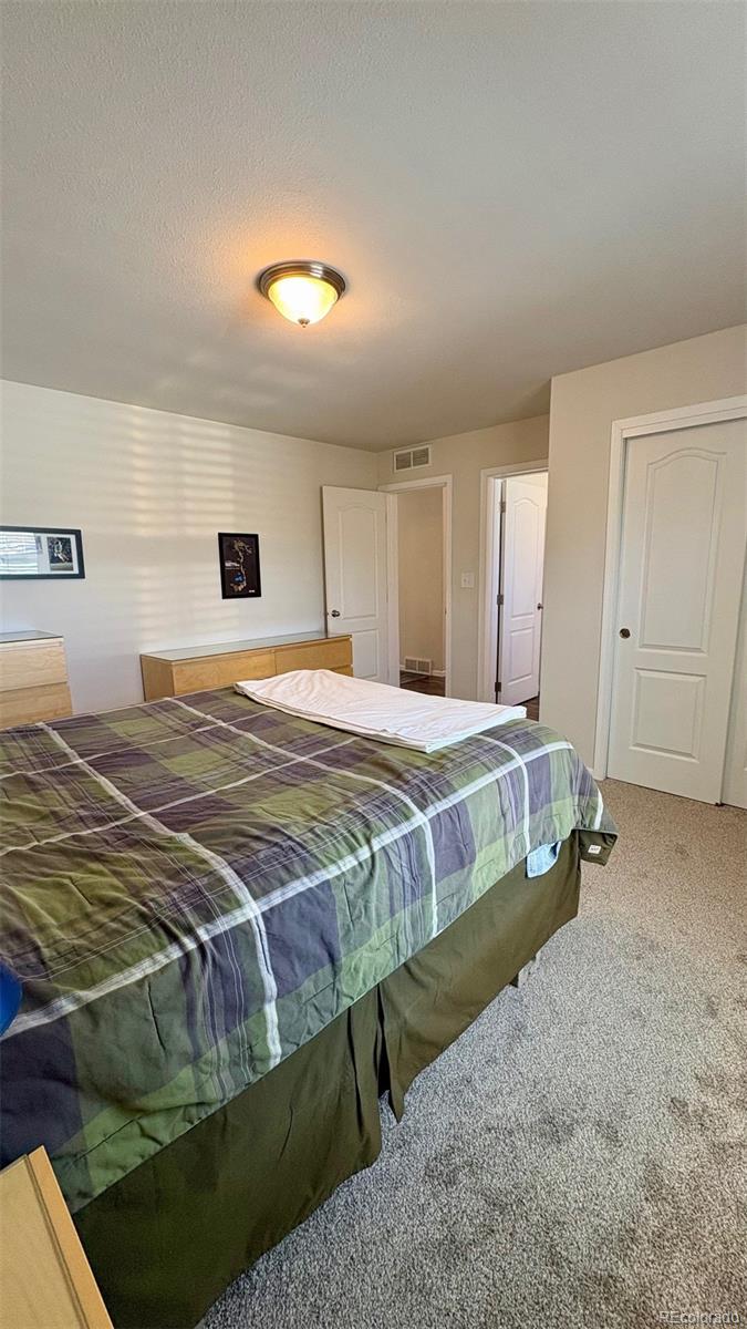 154 Brooklyn Circle Leadville CO 80461