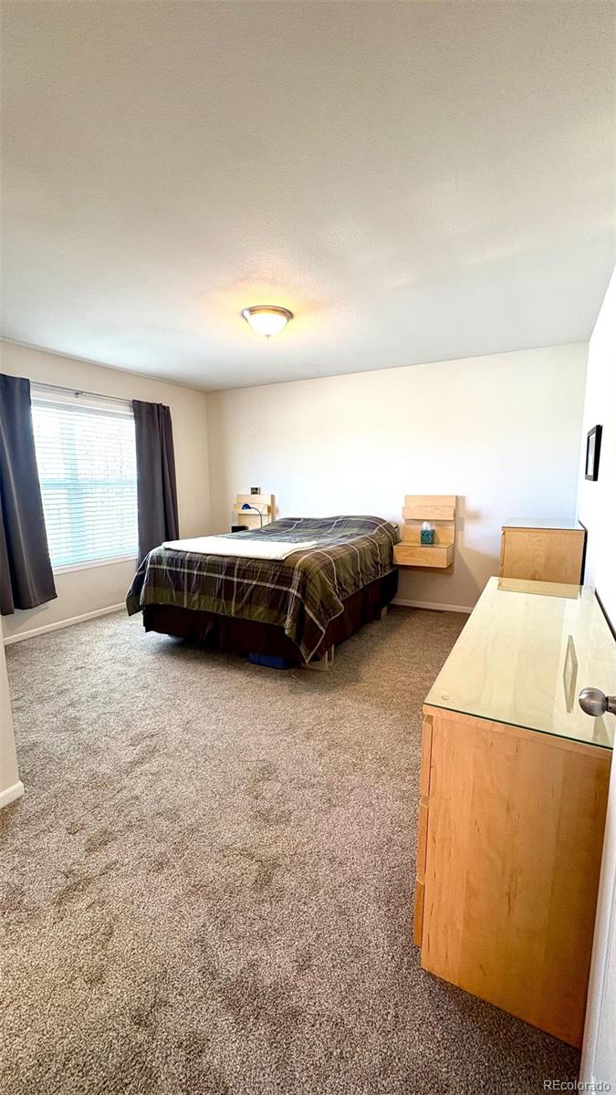 154 Brooklyn Circle Leadville CO 80461