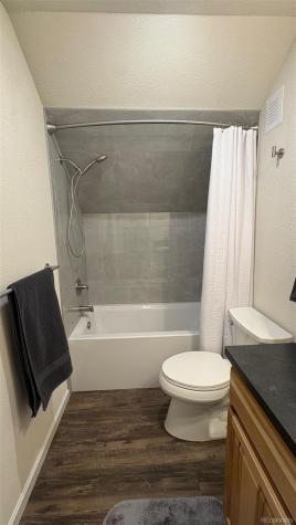 154 Brooklyn Circle Leadville CO 80461