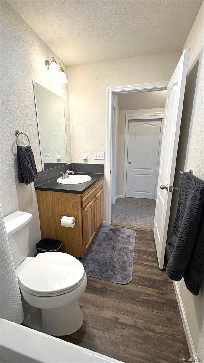 154 Brooklyn Circle Leadville CO 80461