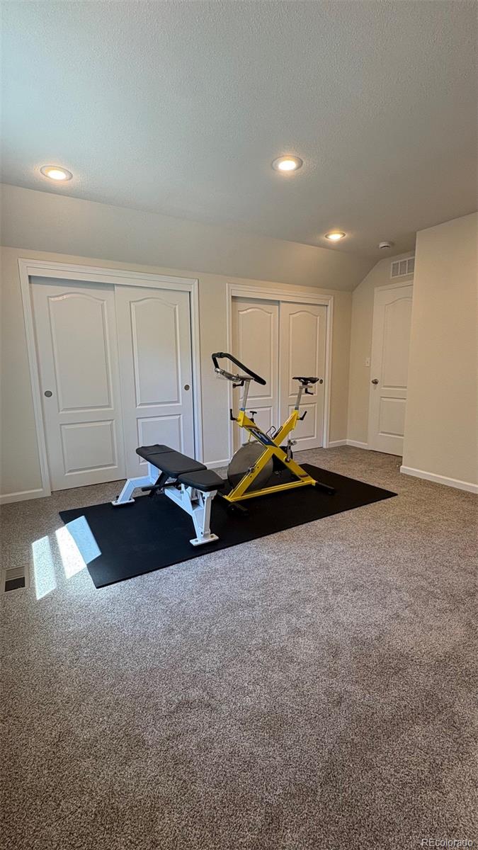 154 Brooklyn Circle Leadville CO 80461