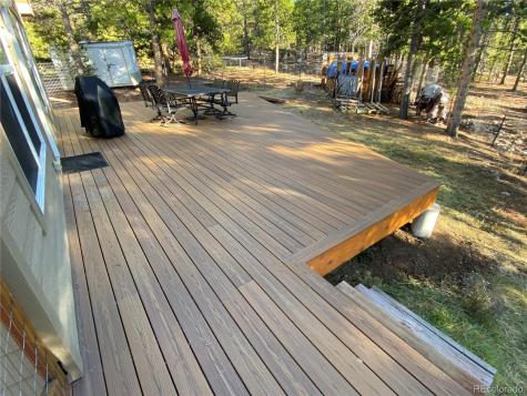154 Brooklyn Circle Leadville CO 80461