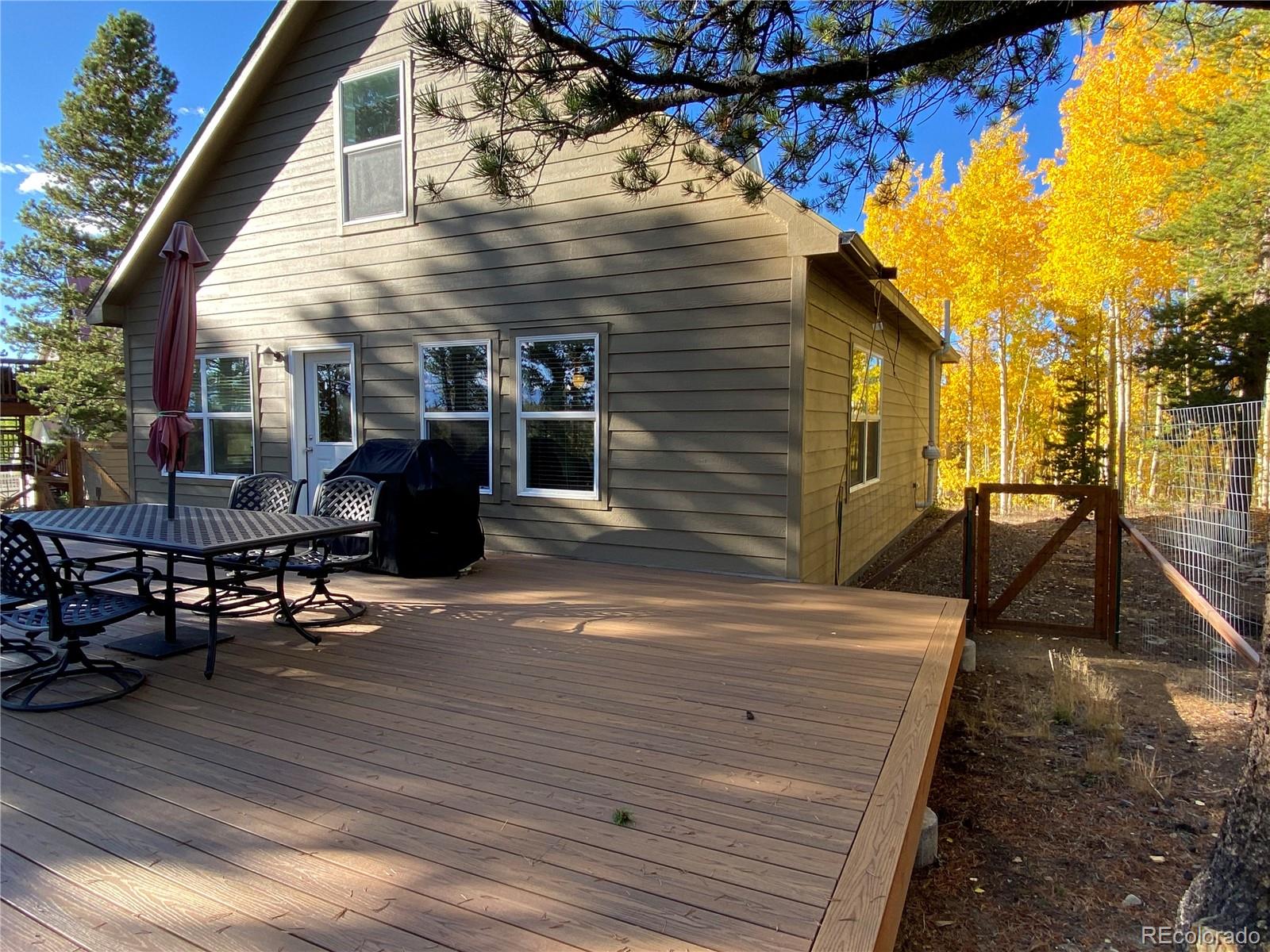 154 Brooklyn Circle Leadville CO 80461