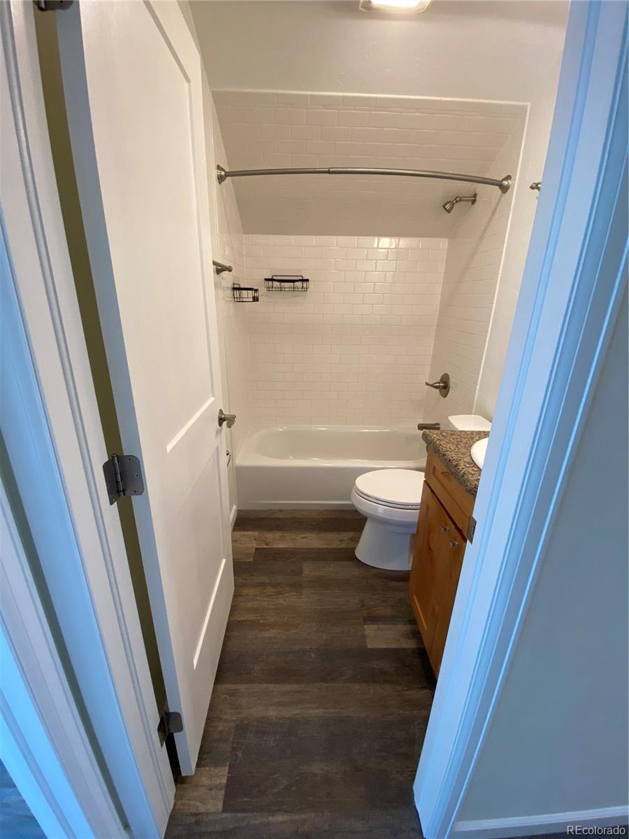 154 Brooklyn Circle Leadville CO 80461