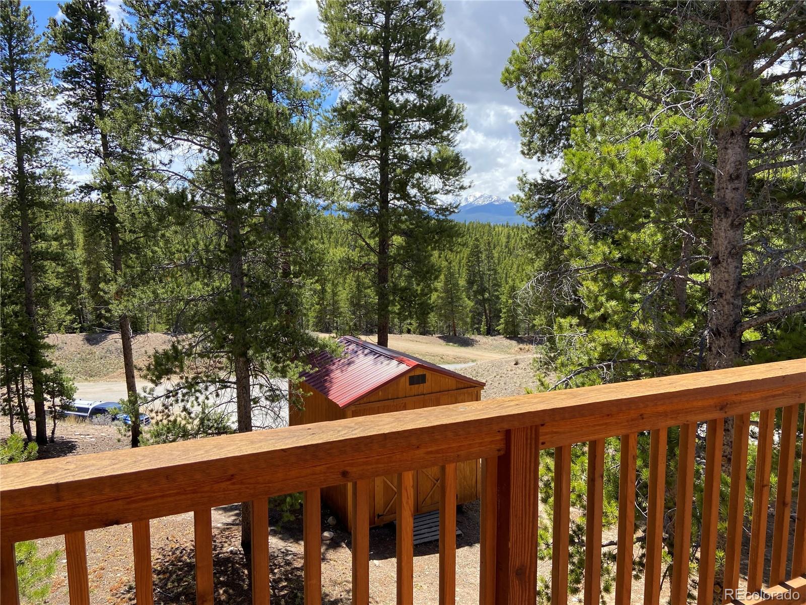 154 Brooklyn Circle Leadville CO 80461