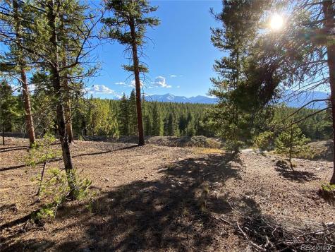 154 Brooklyn Circle Leadville CO 80461
