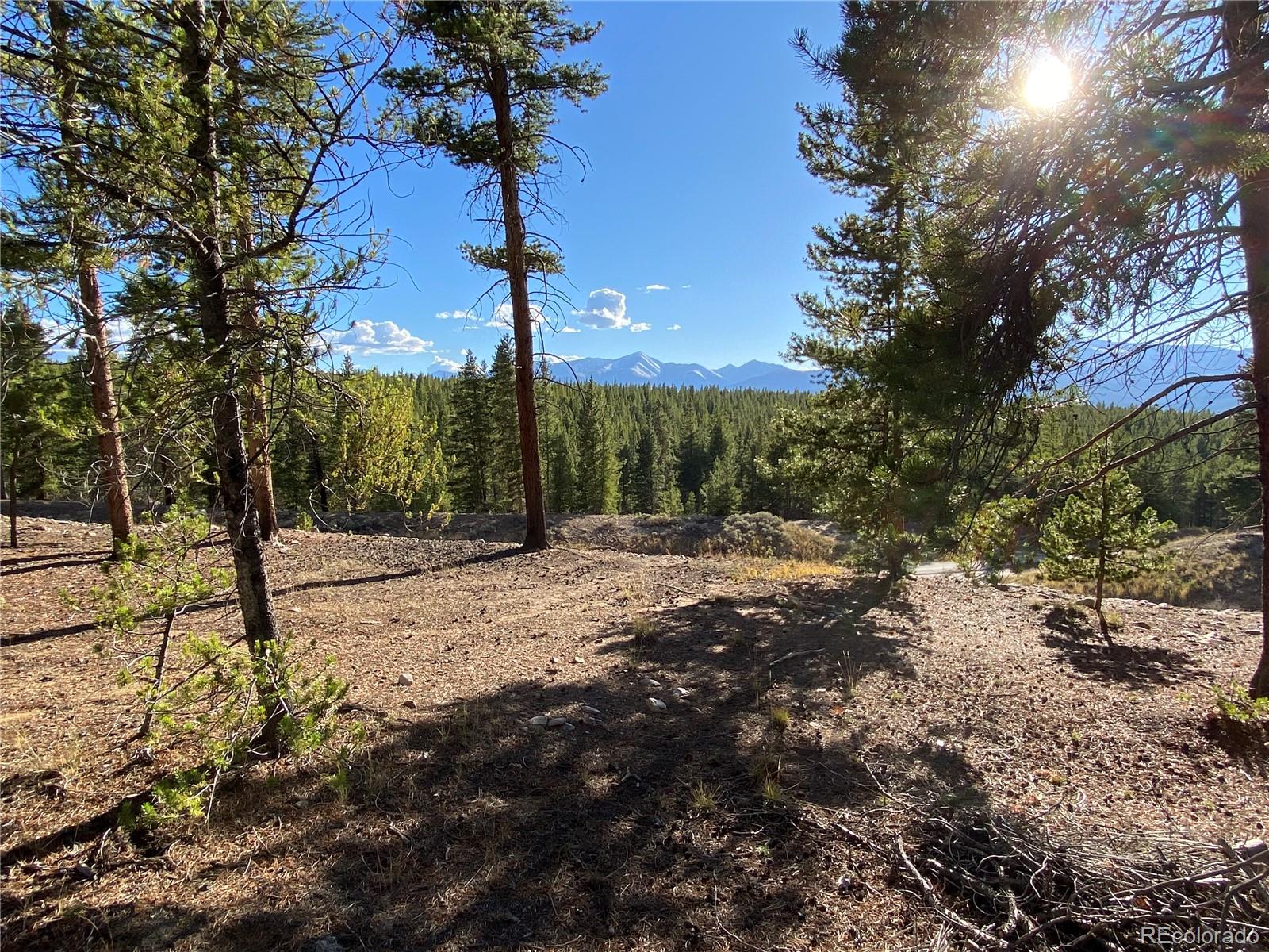 154 Brooklyn Circle Leadville CO 80461