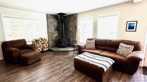 154 Brooklyn Circle Leadville CO 80461