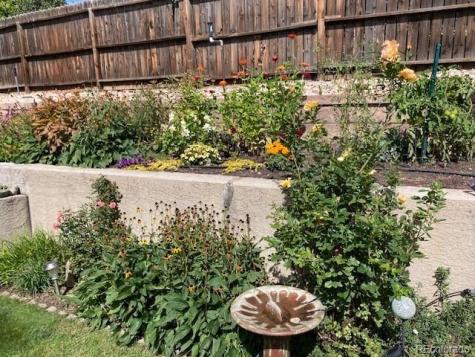 3280 Galena Court Colorado Springs CO 80918