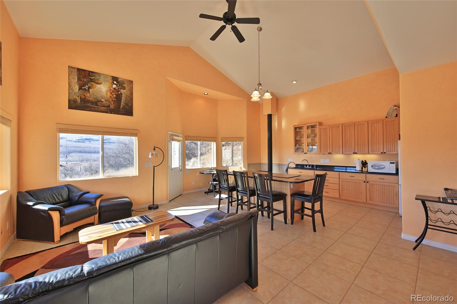 67912 Vega Vista Drive Collbran CO 81624
