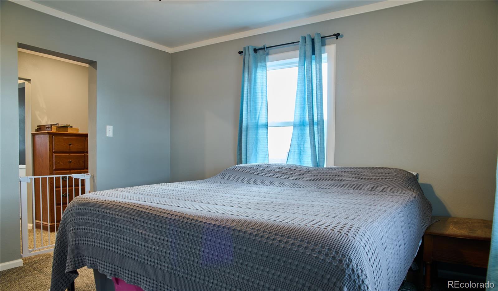 786 Margie Lane Fort Garland CO 81133