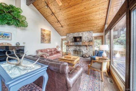 18525 Via Ponderosa Drive Buena Vista CO 81211