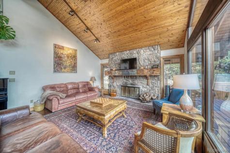 18525 Via Ponderosa Drive Buena Vista CO 81211