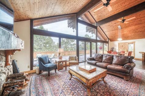 18525 Via Ponderosa Drive Buena Vista CO 81211