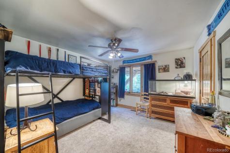 18525 Via Ponderosa Drive Buena Vista CO 81211