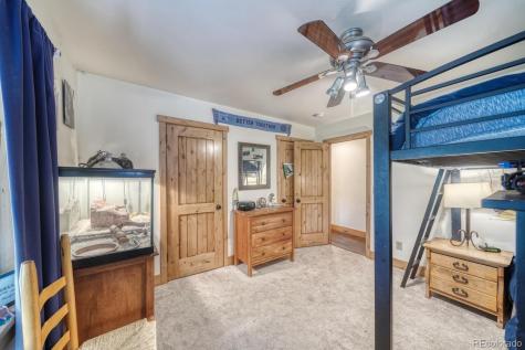 18525 Via Ponderosa Drive Buena Vista CO 81211