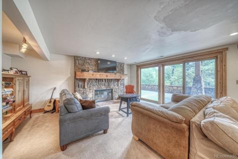 18525 Via Ponderosa Drive Buena Vista CO 81211