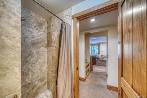 18525 Via Ponderosa Drive Buena Vista CO 81211