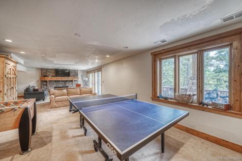 18525 Via Ponderosa Drive Buena Vista CO 81211