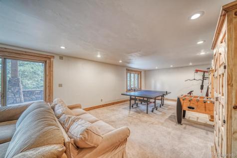 18525 Via Ponderosa Drive Buena Vista CO 81211