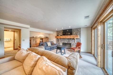 18525 Via Ponderosa Drive Buena Vista CO 81211