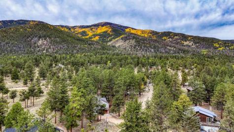 18525 Via Ponderosa Drive Buena Vista CO 81211