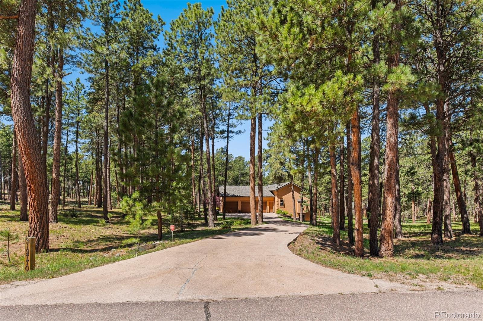 19770 Roaming Drive Colorado Springs CO 80908
