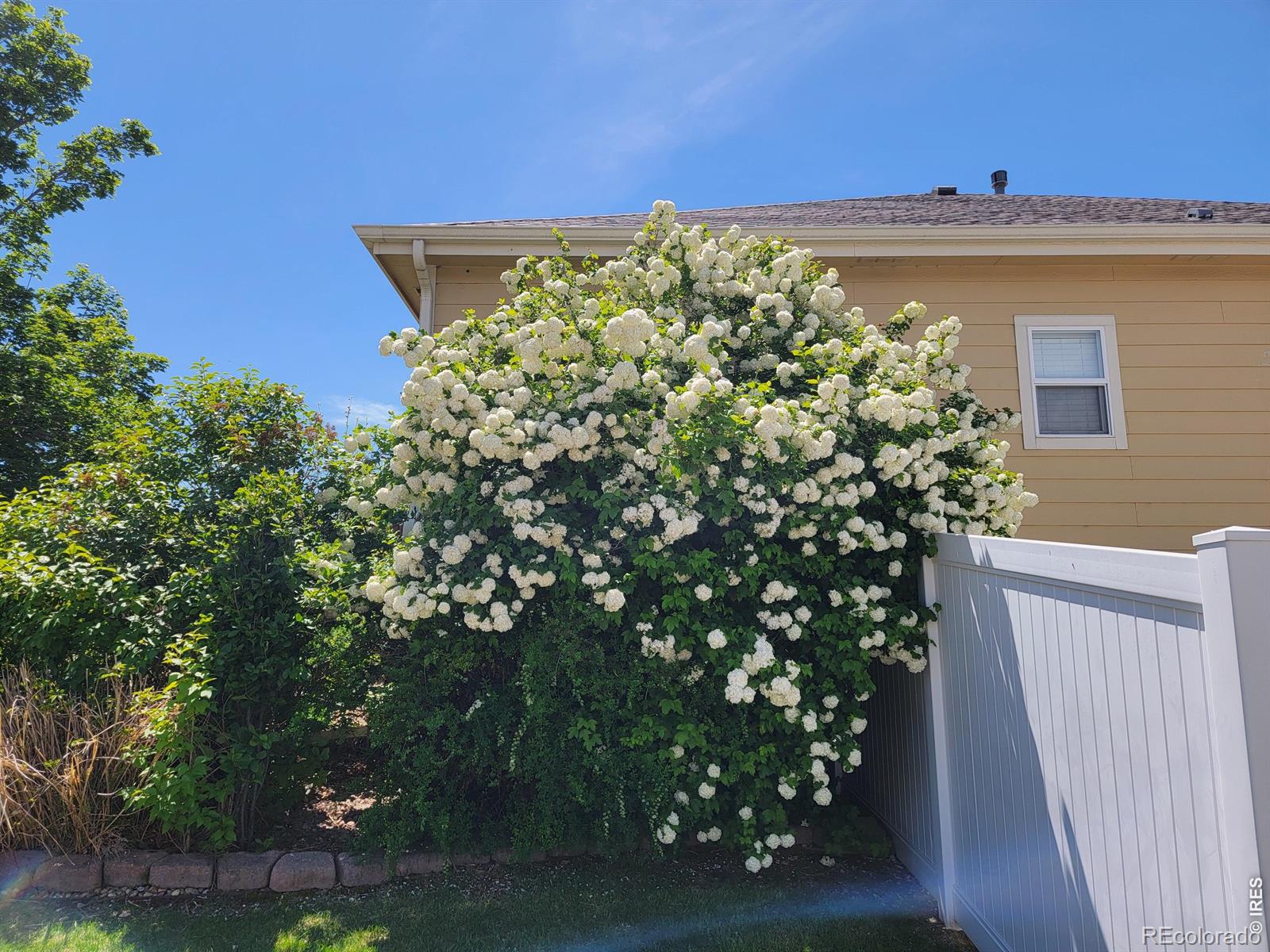 701 62nd Ave Court Greeley CO 80634