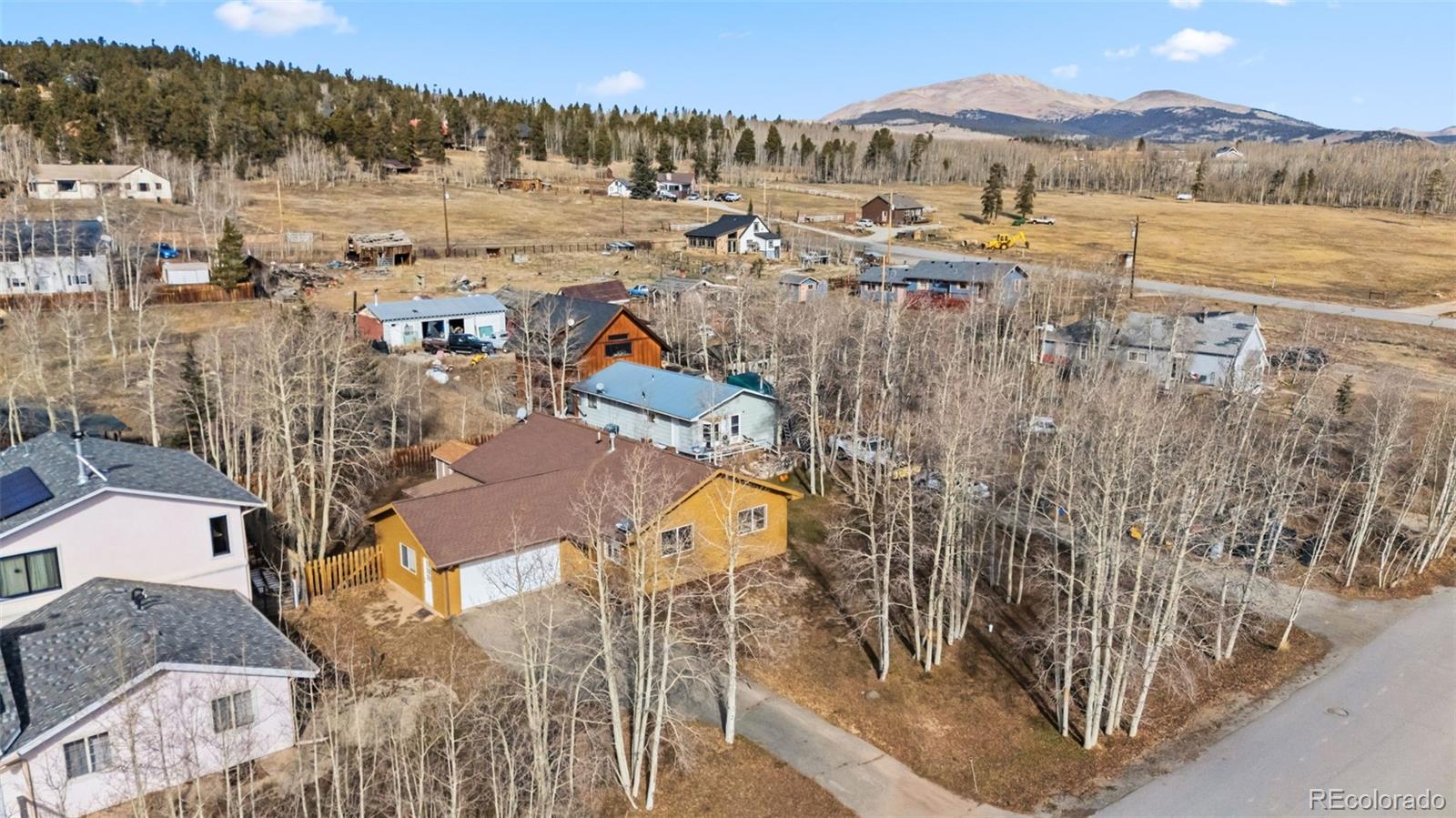 316 3rd Street Fairplay CO 80440