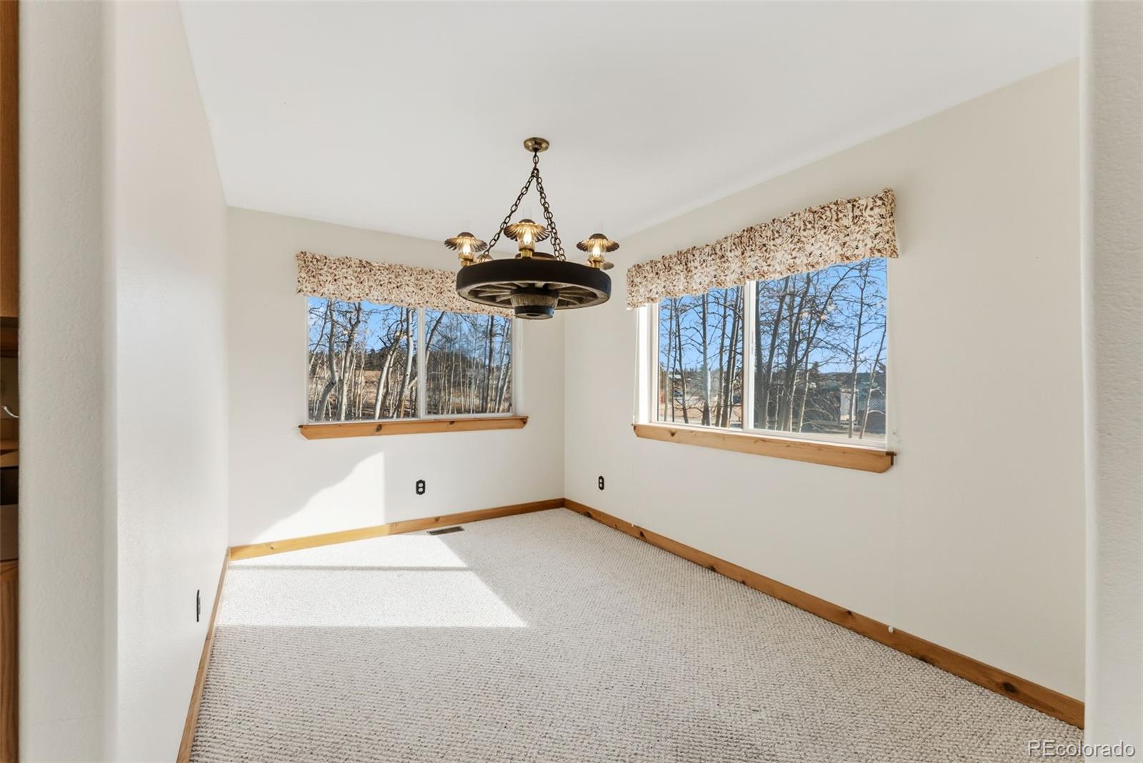 316 3rd Street Fairplay CO 80440