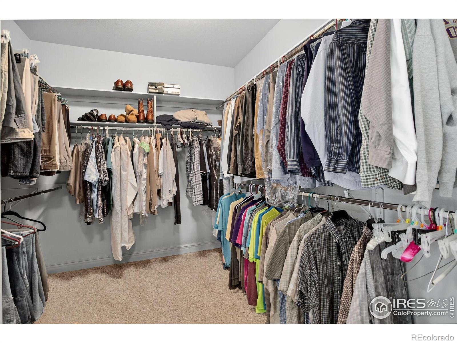 6349 Ashcroft Road Greeley CO 80634
