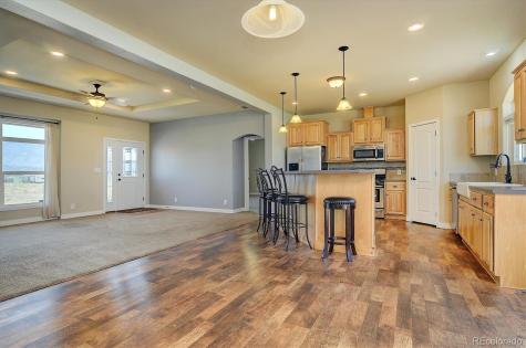 30771 Trent Drive Buena Vista CO 81211