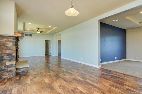 30771 Trent Drive Buena Vista CO 81211