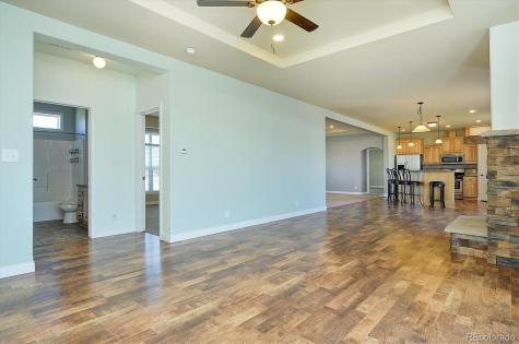 30771 Trent Drive Buena Vista CO 81211