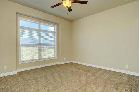 30771 Trent Drive Buena Vista CO 81211