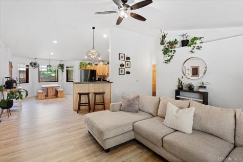 102 Merrill Lane Buena Vista CO 81211