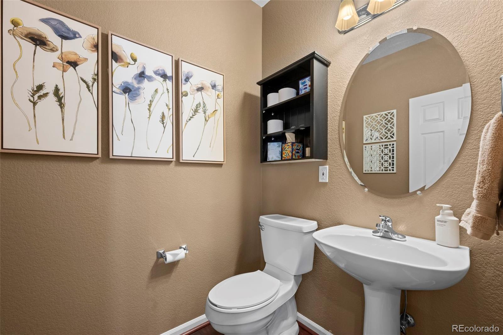 3232 Green Haven Circle Highlands Ranch CO 80126