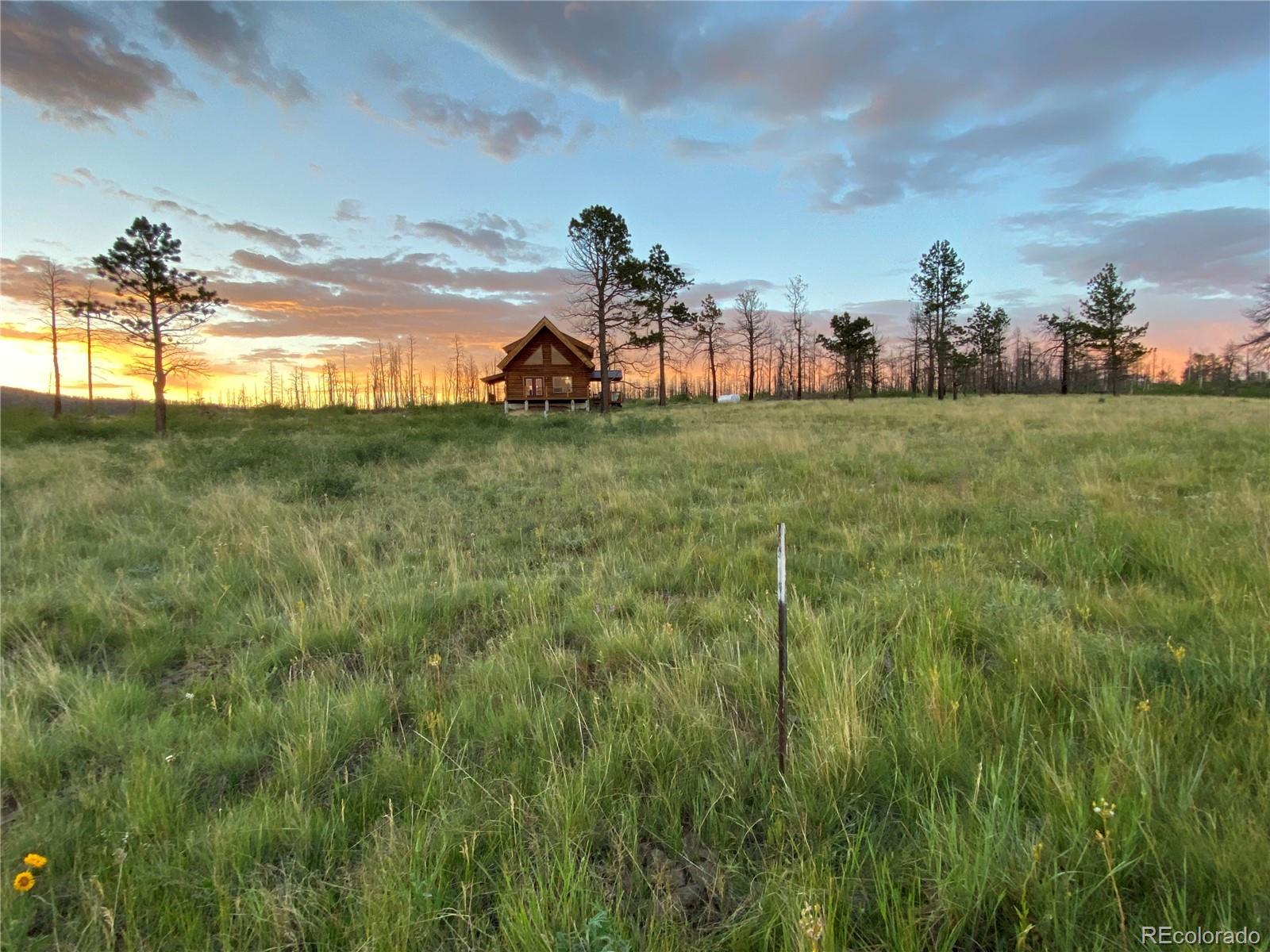 1456 Von Heyl Lane Fort Garland CO 81133