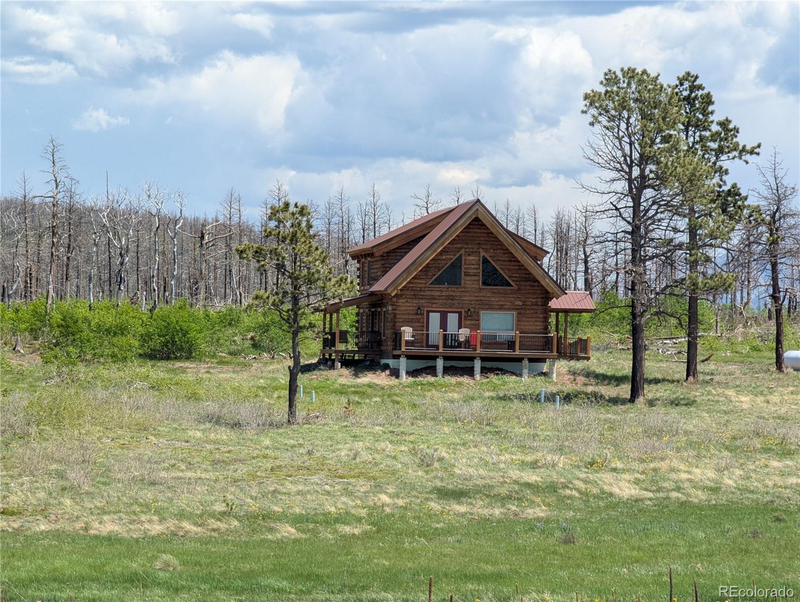 1456 Von Heyl Lane Fort Garland CO 81133