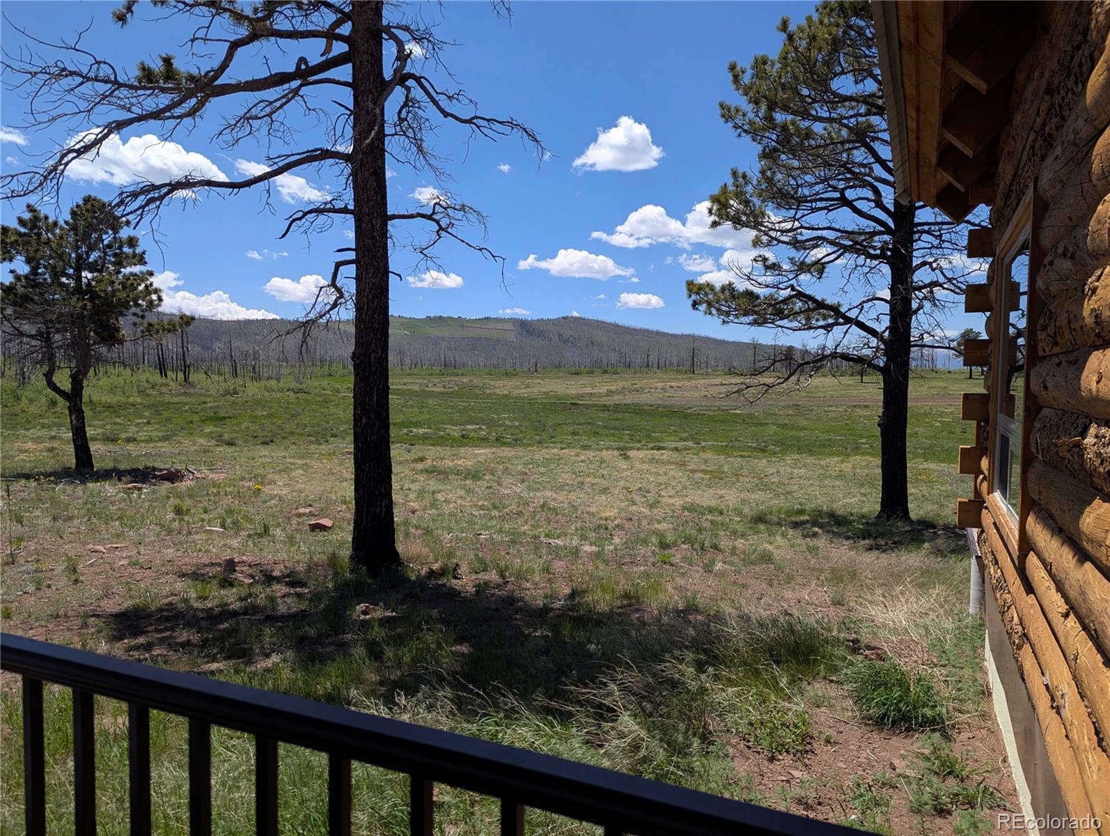 1456 Von Heyl Lane Fort Garland CO 81133