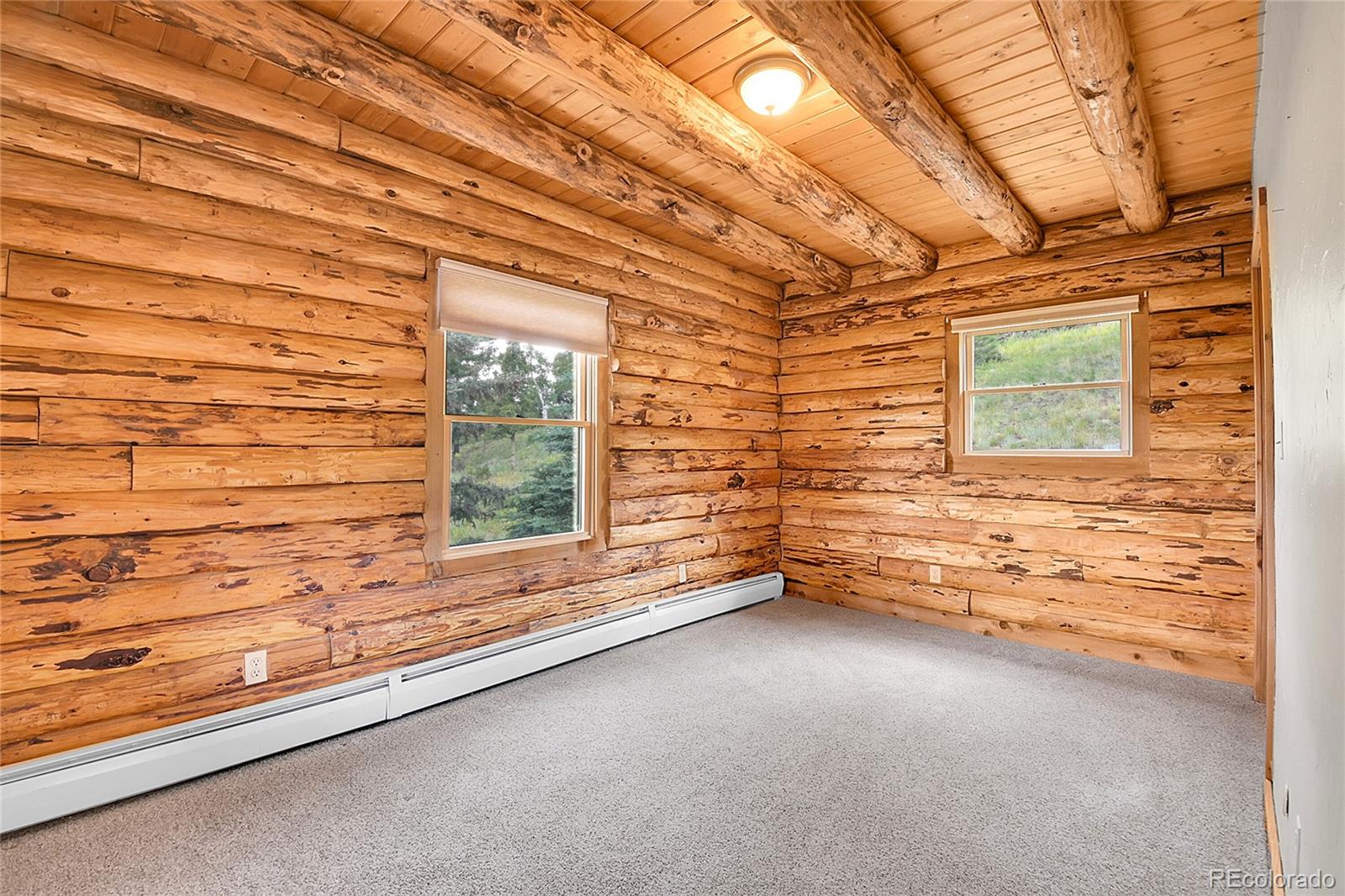 25704 Shiloh Conifer CO 80433