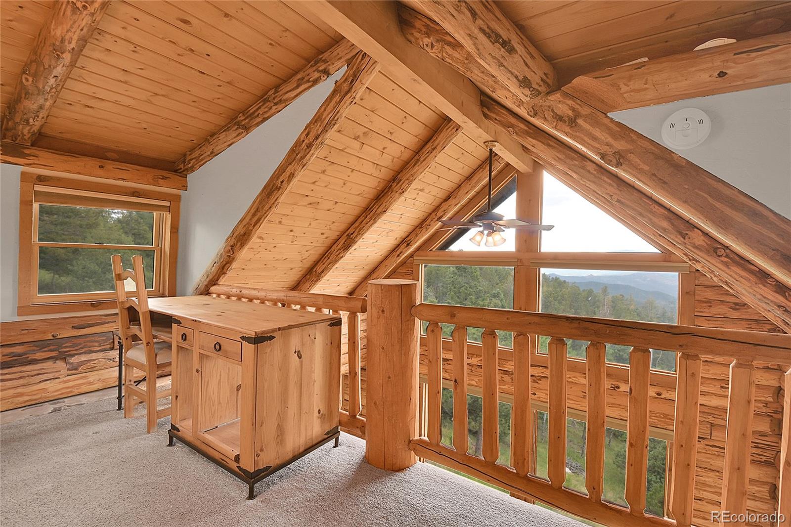 25704 Shiloh Conifer CO 80433