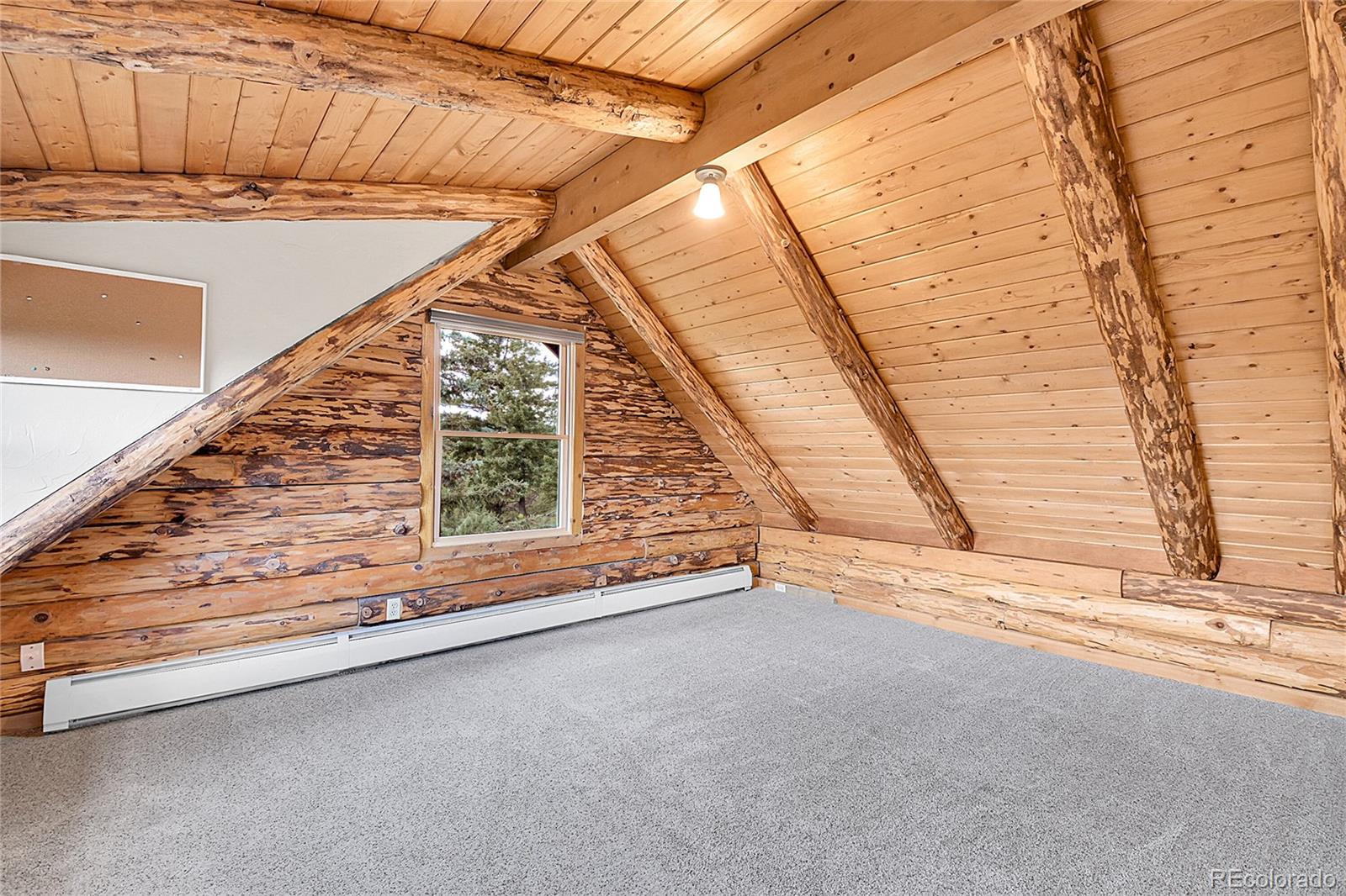 25704 Shiloh Conifer CO 80433