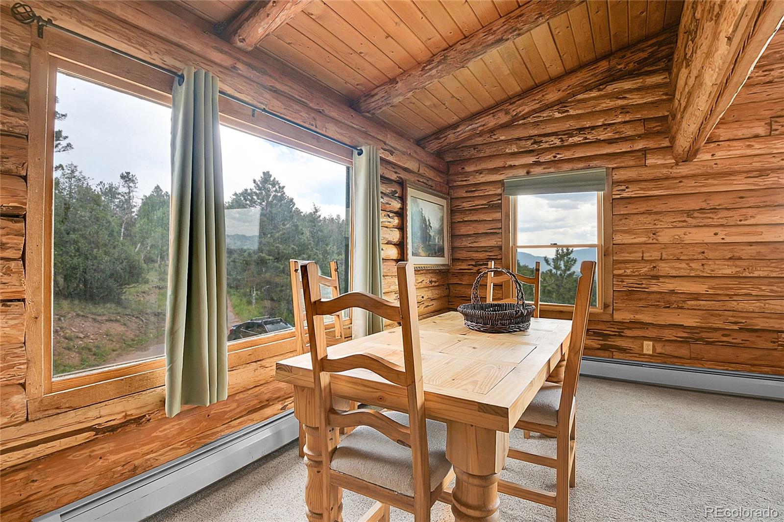 25704 Shiloh Conifer CO 80433