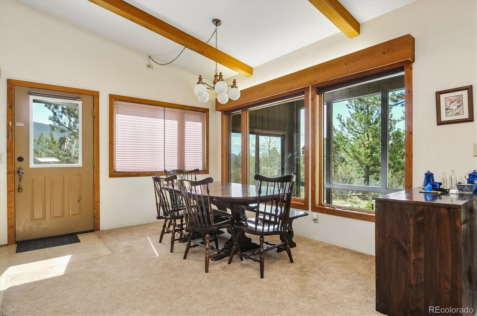 18480 Morrison Creek Circle Buena Vista CO 81211